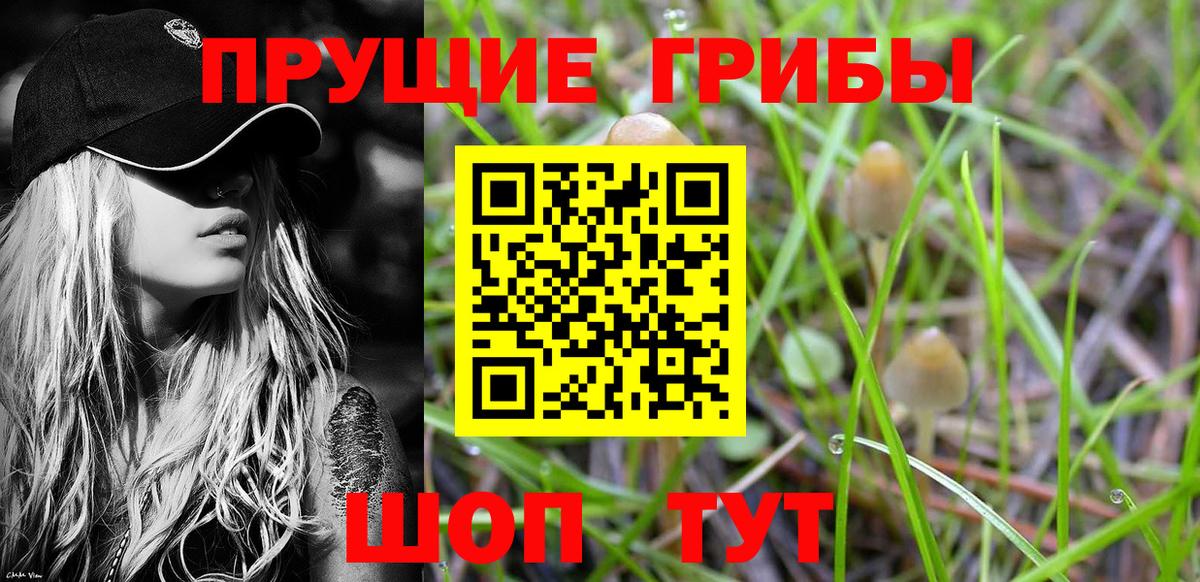 Галлюциногенные грибы Psilocybe  Вход с VPN  Донецк  закладка  Псилоцибиновые грибы ЛСД 